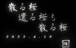 散る桜 - 落合浩太郎