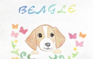 ビーグル - Pikoruna