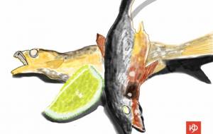 小鮎の塩焼き - ゆるり