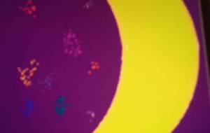 月 - にゃんこそばこ