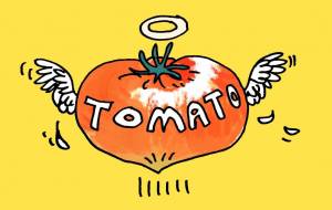 ANGEL・TOMATO - 空叶論