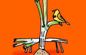 ネギと小鳥 - 空叶論