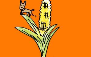 トウモロコシ - 空叶論