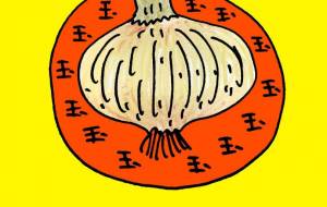 玉ねぎ - 空叶論