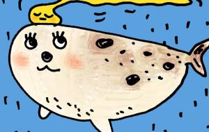 アザラシ - 空叶論