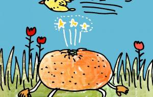 みかんと鳥 - 空叶論