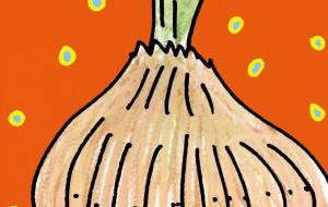 onion - 空叶論