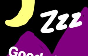 おやすみなさい - 笹谷正博