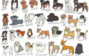 31種類の犬 - yuuri 