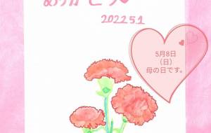 母の日カーネーション - ひろ