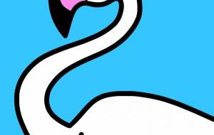 ヨーロッパフラミンゴ - シマハイエナ