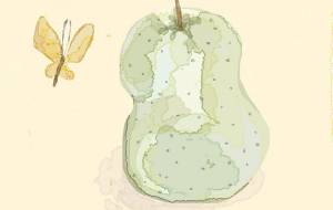 忘却の梨 - 空叶論