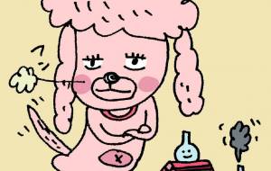 PINK・トイ・プードル - 空叶論