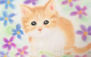 にゃんこのきもち - naomi