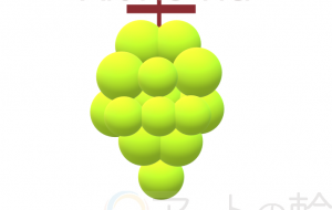 マスカット - harune.