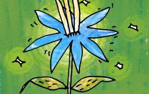 カサブランカ - 空叶論