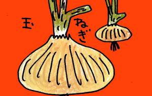 玉ねぎ - 空叶論