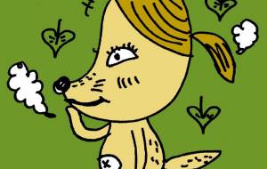 化け狐 - 空叶論