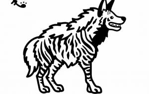 シマハイエナ - シマハイエナ