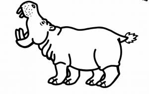 ナイルカバ - シマハイエナ