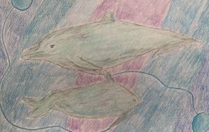 イルカとブルーボール - NEKU