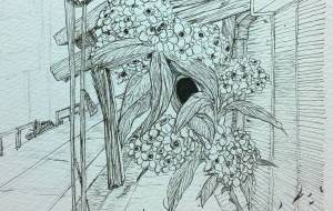 あったよ、お母さん - 中司