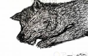 いいこ いいこ - おおた まめ