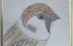 すずめ - 青鳥 華月