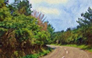 奄美の風景66 - みぎい@