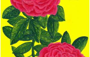 黄の背景の2輪の紅の芍薬 - 阿部貴志