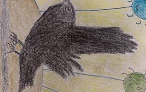 カラスの感情 - NEKU