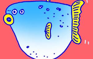 マンボウ - 空叶論