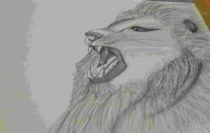 見つめる先には - BlueMoon