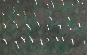 誕生花 すずらん - Hanaba Iro