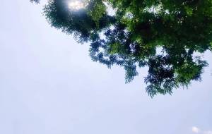 美術館の後 - おおた まめ