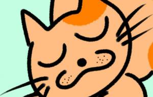 眠りのにゃんこ - にゃんれの