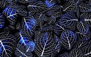 刺戟 - おおた まめ