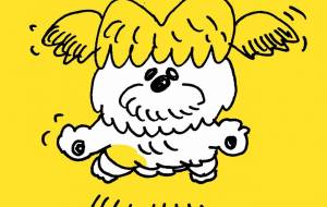 飛び出すシーズーに気を付けて - 空叶論