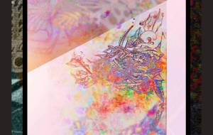 唯画特尊 - しょも