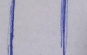 たてながく - NS