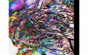 我は幻 - しょも