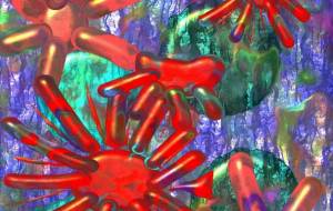 RisingSun - 菅原たんぽぽ