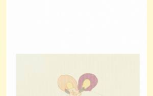 うさぎの『むぅ』 - しょも