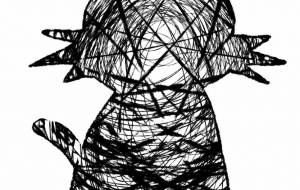 ねこ - 卯月俊介