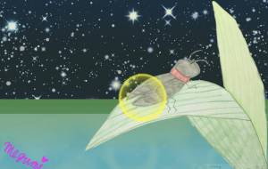 蛍 - ミューズめぐみ