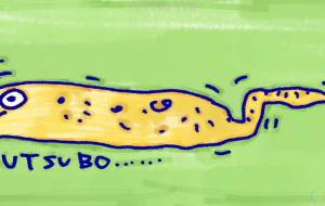 Dangerous fish - 空叶論