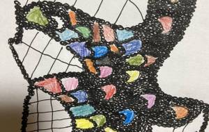 カムル - 笹谷正博