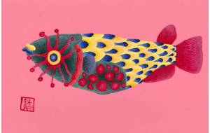 メダカ - 阿部貴志