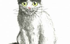 シロちゃん - 阿部貴志