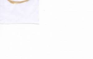 かどで - 【イベント】2023年卯年年賀状ネットスクウェア×障がい者アート協会デザインコンテスト